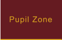 Pupil Zone