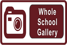Whole School Gallery