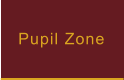 Pupil Zone